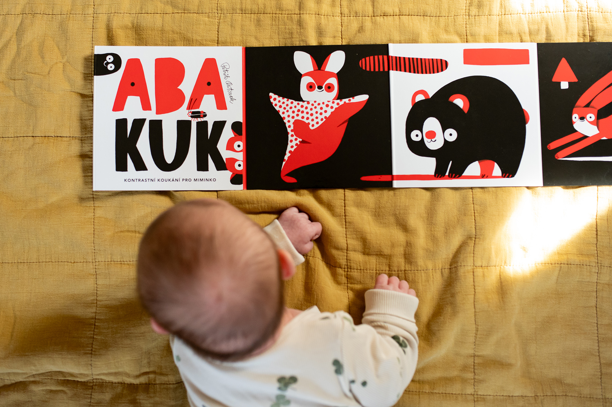 vaclavova_abakuk3